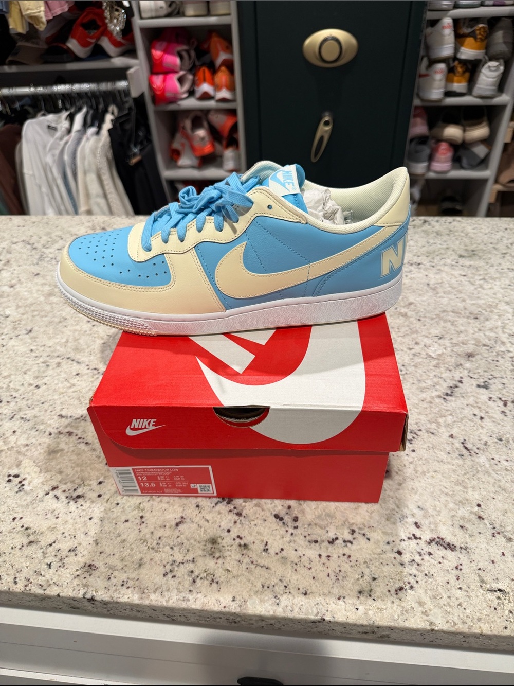 Nike Terminator low